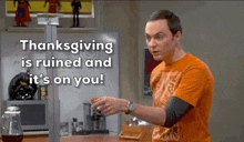 All Your Fault Thanksgiving Is Ruined GIF - All Your Fault Thanksgiving Is Ruined Big Bang Theory GIFs