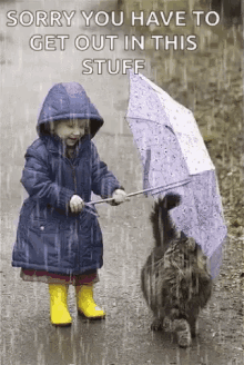 Umbrella Cat GIF - Umbrella Cat Raining GIFs