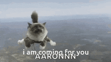 Cat Flying GIF - Cat Flying I Am Coming For You GIFs