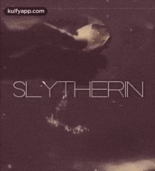 Slytherin.Gif GIF - Slytherin Text Poster GIFs