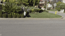 a yellow fire hydrant sits on the side of a road