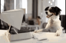Dog Computer GIF - Dog Computer Workaholic GIFs