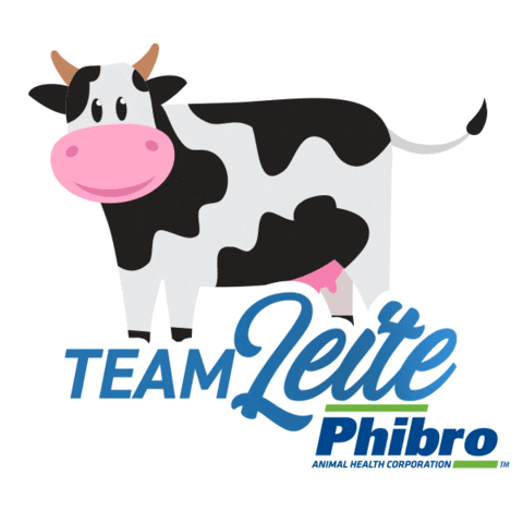 Phibro Cows Sticker - Phibro Cows Stickers