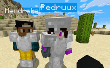 two minecraft characters are standing next to each other and one of them has the name fedruux written on it
