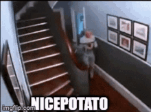 Nicepotato GIF