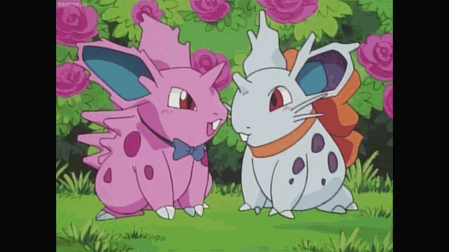 Cute Pokemon GIF - Cute Pokemon Cute Couple - Discover & Share GIFs