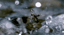 Water Slomo GIF - Water Slomo Droplets GIFs