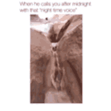 Cascate Waterfall GIF - Cascate Waterfall Rock GIFs