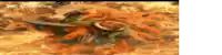 a close up of a crab in a fire with the word clip cut visible