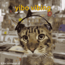 Yibo GIF - Yibo GIFs