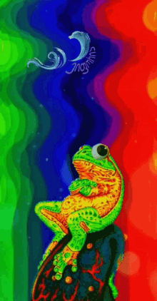 Frog ბაყაყი GIF - Frog ბაყაყი GIFs
