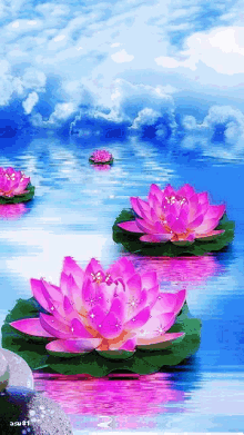 Beautiful Lotus GIF - Beautiful Lotus Nature GIFs