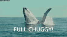 Whale Flip GIF - Whale Flip Ocean GIFs