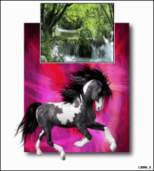 Landscape Horse GIF - Landscape Horse GIFs