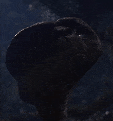 a close up of a creature 's face looking up at the sky