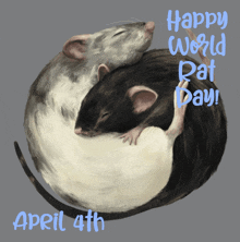 Happy World Rat Day Rats GIF - Happy World Rat Day Rats Rat GIFs