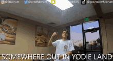 Fulcrum Yodie Gang GIF - Fulcrum Yodie Gang Yodie Land GIFs