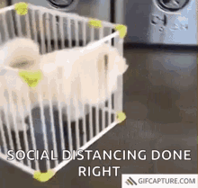 Social Social Distancing GIF - Social Social Distancing Bye GIFs