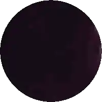a purple circle with a blurred image of a person