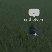 a person is standing in the grass with a speech bubble above them that says enthetven .