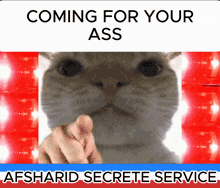a picture of a cat with the words coming for your ass behind it