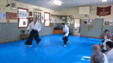 Aikido Martial Arts GIF - Aikido Martial Arts Warrandyte GIFs