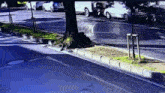 a car is driving down a street next to a tree and a sidewalk .