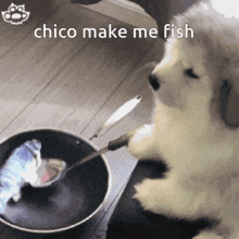 Dog Fish GIF