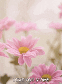 a mother 's day card with pink daisies and the words " happy mother 's day "