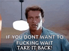 arnold schwarzenegger is standing in front of a light and says `` if you dont want to fucking wait take it back ! ''