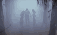 Fright In The Fog! GIF - घना कोहरा धुंध GIFs