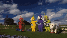 a group of teletubbies standing in a field with a sheep