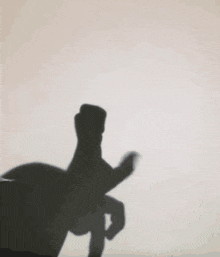 a shadow of a person 's hand is making a peace sign