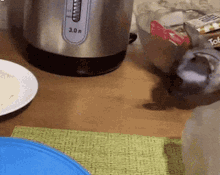 Cat Theif GIF - Cat Theif Butter GIFs