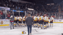 Chicago Wolves Wolves GIF