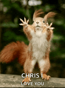 a squirrel with its arms outstretched and the words chris i love you below it