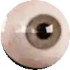 a close up of a human eye with a black pupil on a white background .