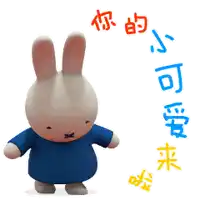 a stuffed bunny wearing a blue shirt and chinese writing