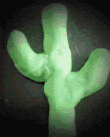 Cactus Love GIF - Cactus Love Rainbow GIFs