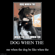 Ghostdog Dog Meme When The Meme GIF - Ghostdog Dog Meme When The Dog Meme GIFs