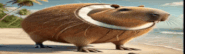 a cartoon capybara with a coconut on its head is standing on a beach .