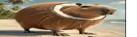 a cartoon capybara with a coconut on its head is standing on a beach .