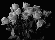 Roses Died GIF - Flowers Wilt Died GIFs