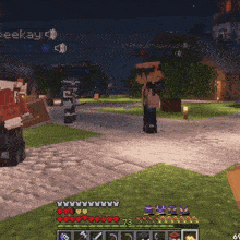 a screenshot of a minecraft game with the name peekay on the top left