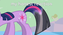 twilight sparkle from my little pony is shown with the words my honest reaction above her