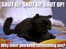 Abrina The Teenage Witch Cat GIF - Abrina The Teenage Witch Cat Black Cat GIFs