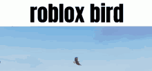 Roblox Developer GIF - Roblox Developer Bird GIFs