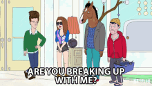 are you breaking up with me will arnett bojack horseman aaron paul todd chavez