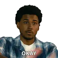 a man in a plaid shirt says okay in a sticker