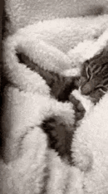Cocooning GIF - Cocooning Cocoon Snuggle GIFs